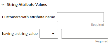 This figure shows the String Attribute Values This figure shows the String Attribute Values
