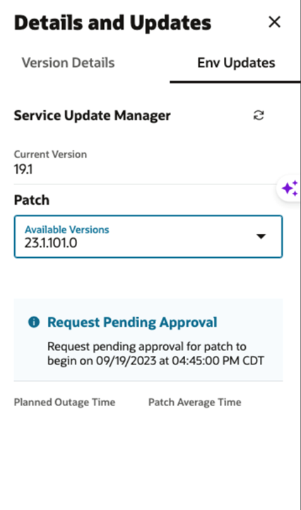 Status Display After Requesting a Patch