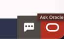 Ask Oracle Menu