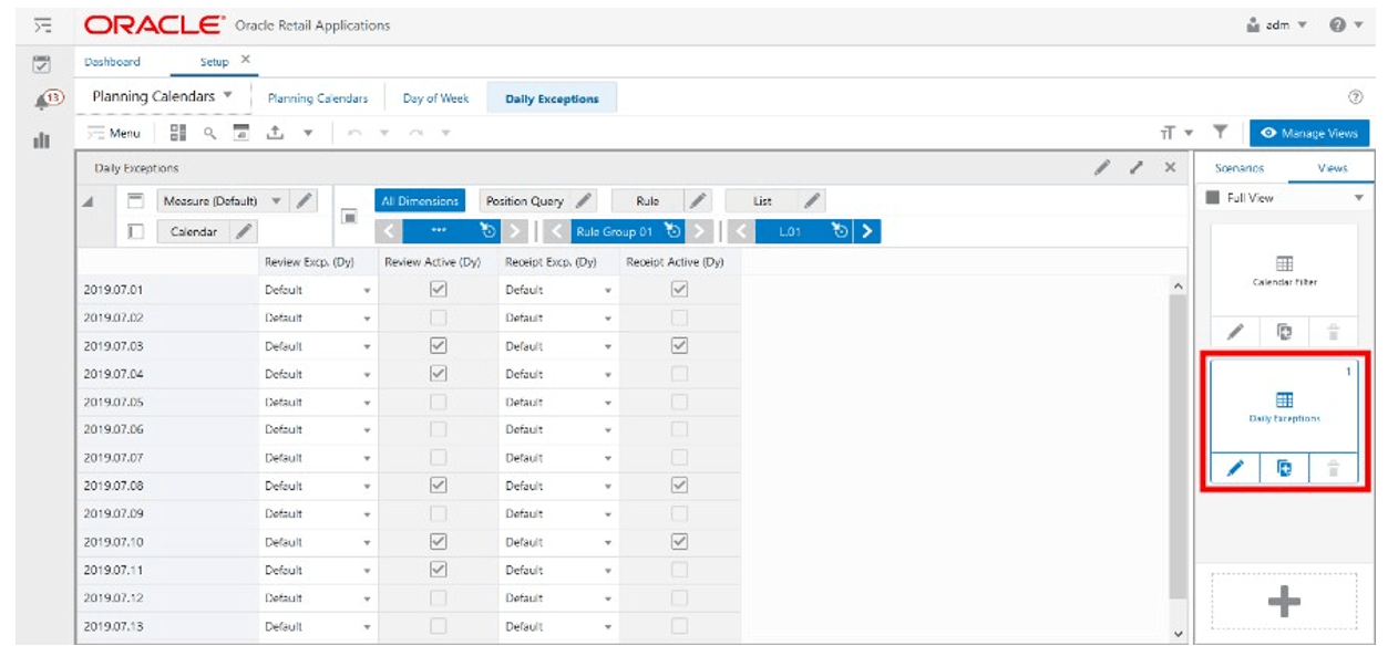 Daily Exceptions View Daily Exceptions View