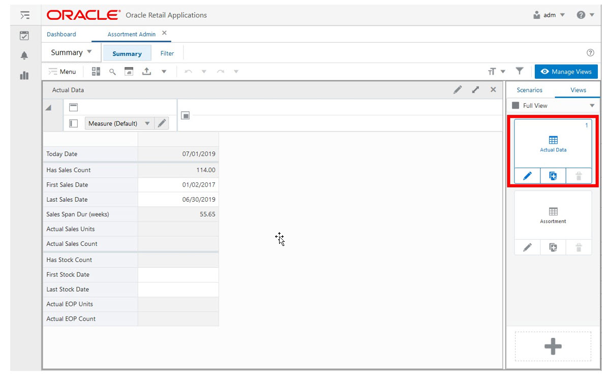 Actual Data View