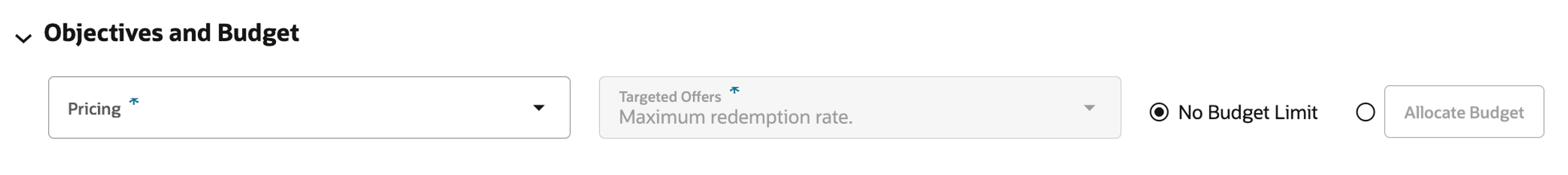 This image shows objectives and budget This image shows objectives and budget