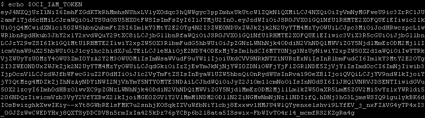 Example of an OAUTH Token