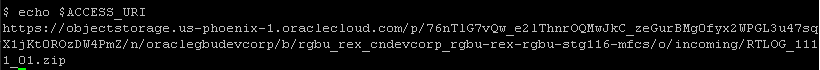 Sample ACCESS_URI Value