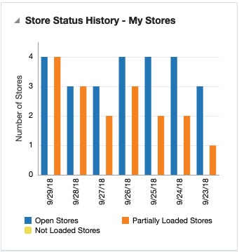 Store Day Summary Report View