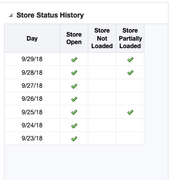 Store Day Summary View