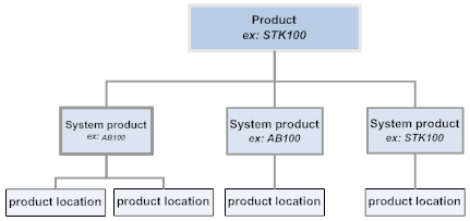 Illustrates the product hierarchy of the product including multiple system products, and each system product stocked in one or more product locations. Illustrates the product hierarchy of the product including multiple system products, and each system product stocked in one or more product locations.