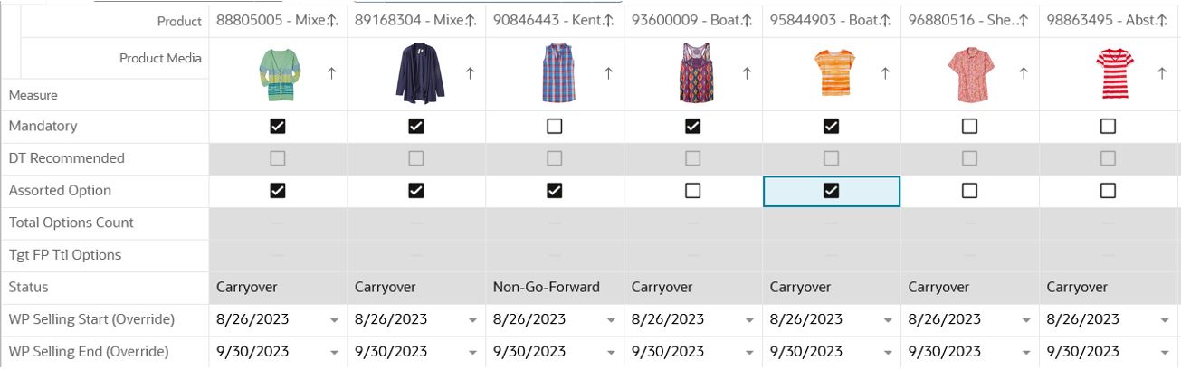 Image Display with Axis Pivot