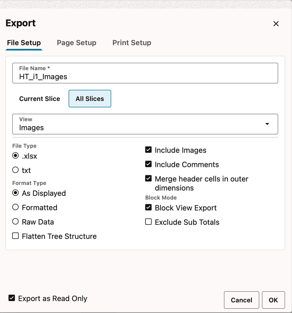 File Setup Export as Read Only