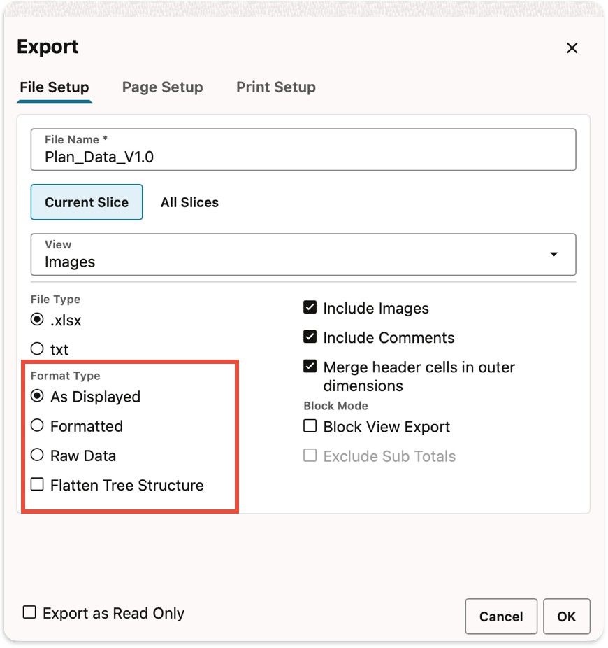 Image showing the format types, as displayed, formatted and raw data.