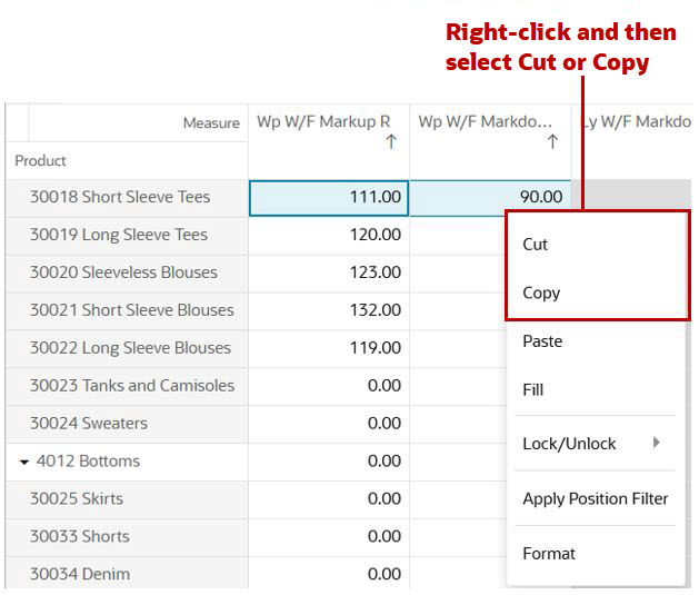 Selecting Cells to Copy or Cut with Right-click Functionality