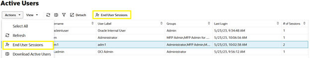 This image shows end user sessions.