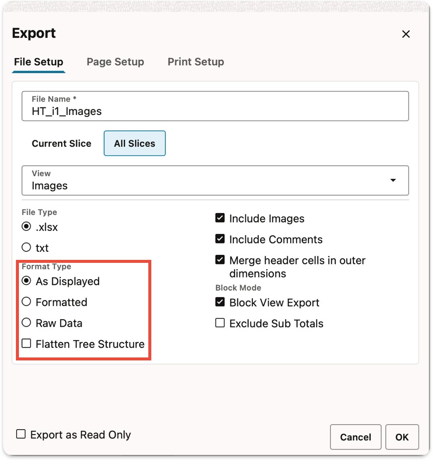 Format Type Export Options