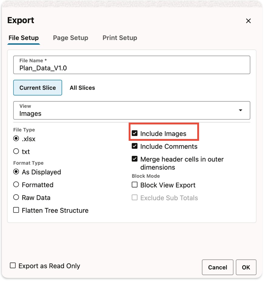 File Setup Include Images