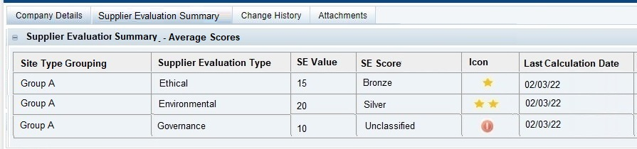 This figure shows the SE Evaluation Summary Page in the Company record.