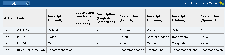 This figure shows the Audit/Visit Issue Types page.