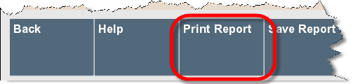 Print Report Option
