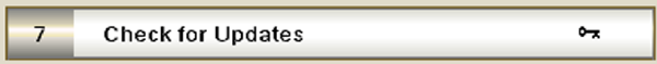 Example for option with key icon