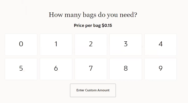 Bags Used Prompt