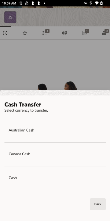 Cash Transfer Currency List - Handheld