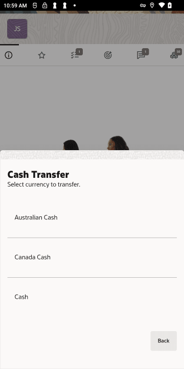 Cash Transfer Currency List - Handheld Cash Transfer Currency List - Handheld