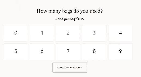 Bags Used Prompt