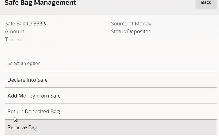 Safe Bag Management Options