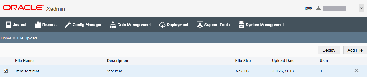File Upload page - File selected
