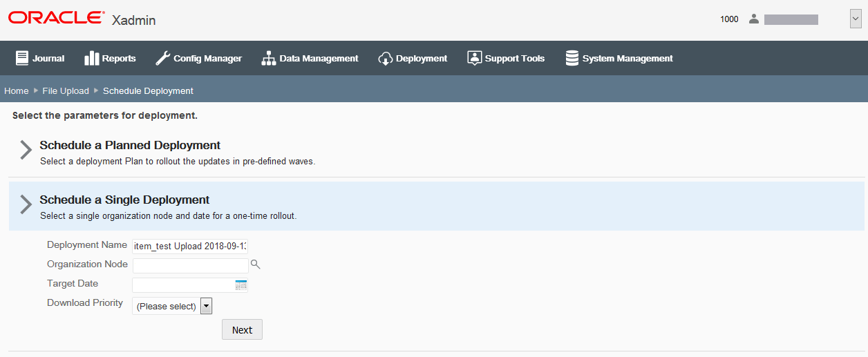 Single Deployment option Single Deployment option