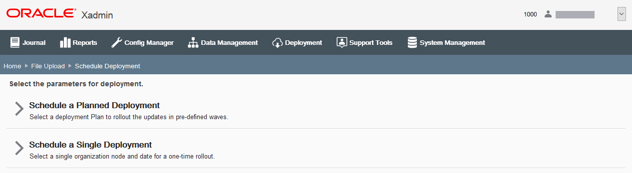 Schedule Deployment page Schedule Deployment page