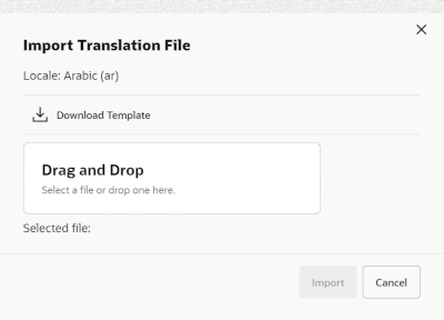 Import Translation File Popup Import Translation File Popup