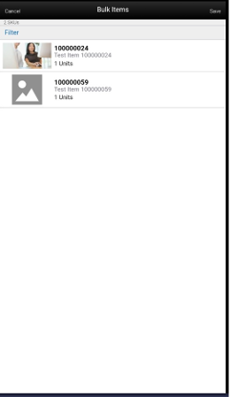 Bulk Items Screen Bulk Items Screen