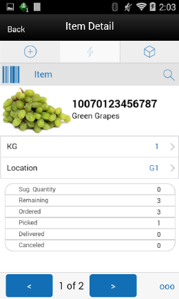 Item Detail (Customer Order Reverse Picks) Screen