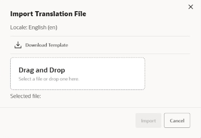 Import Translation File Import Translation File