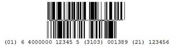 GS1 Data Bar Example GS1 Data Bar Example