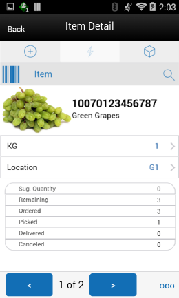 Item Detail (Customer Order Reverse Picks) Screen Item Detail (Customer Order Reverse Picks) Screen