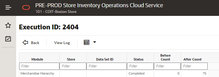 Initial Data Loading Execution Details Screen