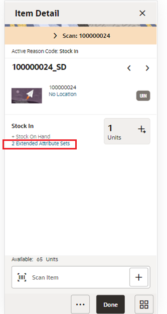 Item Detail