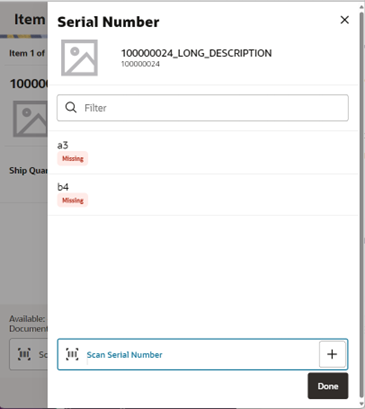 Item Detail (UIN) screen