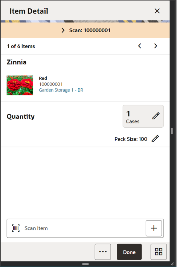 Item Detail Screen