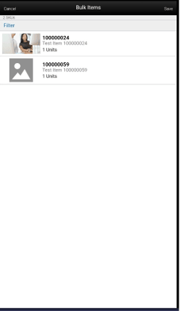 Bulk Items Screen Bulk Items Screen