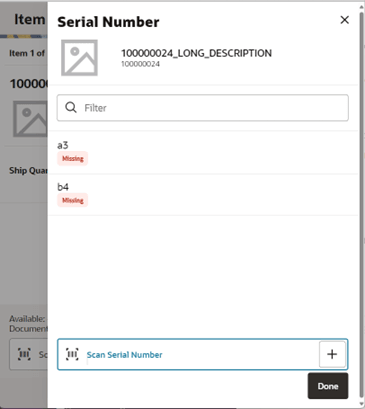 Item Detail (UIN) screen