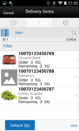 Delivery Items Screen