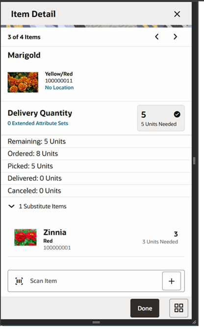 Item Detail (Customer Order Deliveries) Screen Item Detail (Customer Order Deliveries) Screen