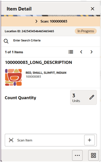 This image shows the Flexible Stock Count Item Detail Screen.