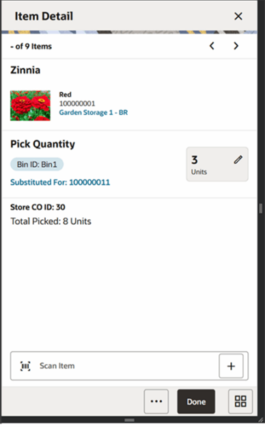 This image shows the Item Detail screen.