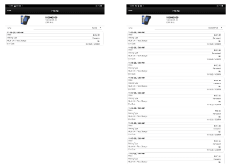 Pricing Screen