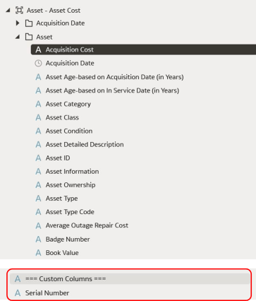 Screenshot showing the Custom Columns section of a dimension in Analytics Visualization.