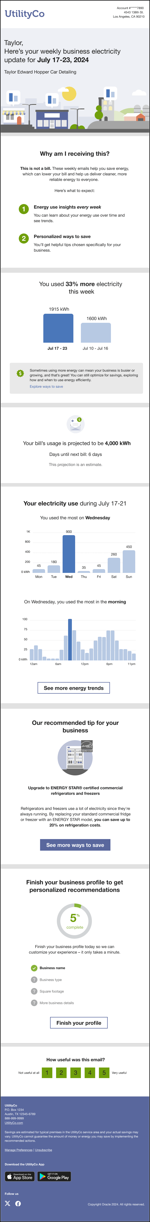 This image shows an example of the email.