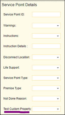 Service Point Details section. Here the Test Custom Property field is highlighted.